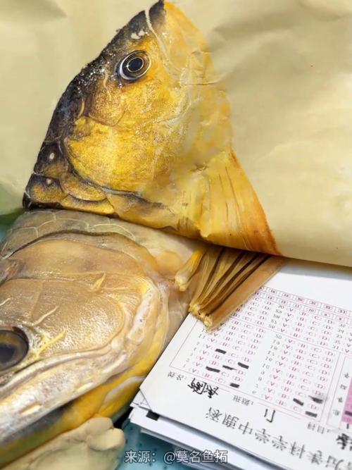 Mozorrio Goldfish Fishing Guide Where to Catch金龙鱼